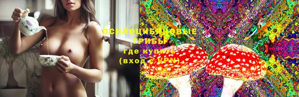 метадон Аркадак